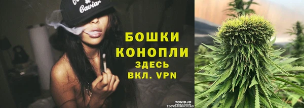 марки lsd Новозыбков